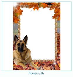 flower Photo frame 816